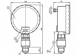 IFM PG2450 - Датчик давления с аналоговым дисплеем