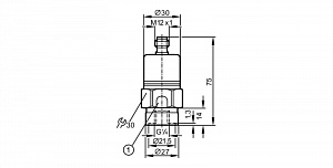 IFM PA3020 - Датчик давления с керамической измерительной ячейкой
