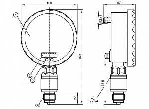 IFM PG2489 - Датчик давления с аналоговым дисплеем